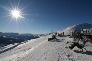 din nou la belvedere